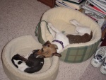 DSC00034.JPG