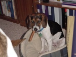 DSC00105.JPG