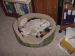 DSC00129.JPG