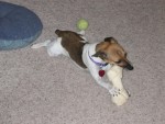 IMG_0301.jpg