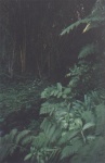 hawaii05
