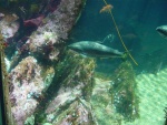 DSC00002.JPG