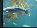 DSC00004.JPG