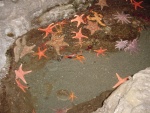 DSC00006.JPG