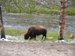 IMG_0116.jpg