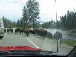 Reason for the traffic jam
