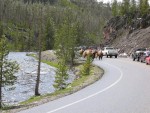 Traffic jam on the way back from Old Faithful