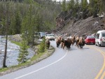 IMG_0120.jpg